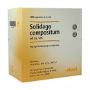 Солидаго Композитум С 2,2мл (Solidago compositum S) 100 амп